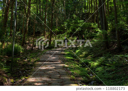 Japan's Top 100 Castles, Iwamura Castle Japan's Top 100 Castles, Iwamura Castle 118802173