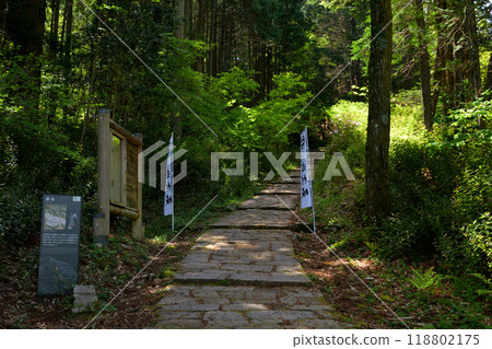 Japan's Top 100 Castles, Iwamura Castle Japan's Top 100 Castles, Iwamura Castle 118802175