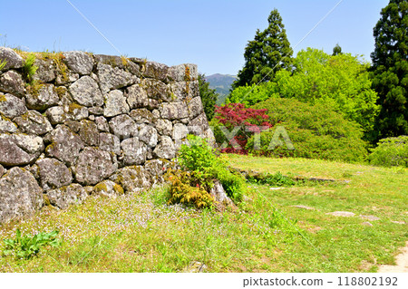 Japan's Top 100 Castles, Iwamura Castle 118802192
