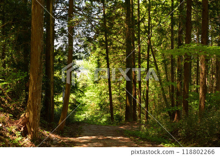 日本名城百選 岩村城 118802266