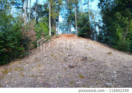 [Nationally designated historic site] Higashinomiya Tomb 118802290