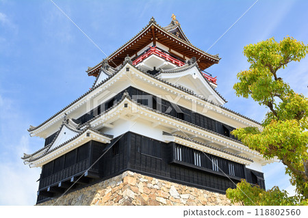 Kiyosu Castle, Aichi 118802560
