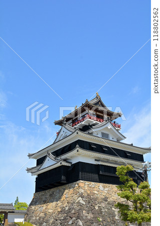 Kiyosu Castle, Aichi 118802562