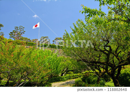 日本的100座大城堡/高知城堡 118802648