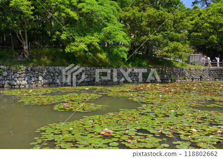 Japan's 100 Great Castles / Kochi Castle 118802662