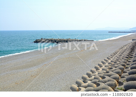 Kochi Kochi 118802820