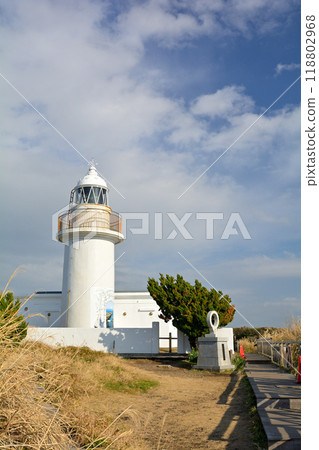 Kanagawa / Jogashima 118802968