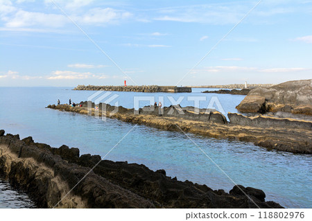 Kanagawa / Jogashima 118802976