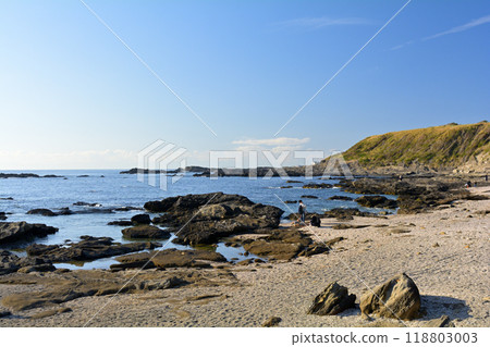 神奈川縣/鹿島市 神奈川縣/鹿島市 118803003