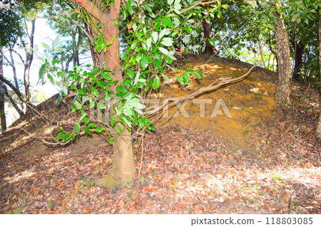 [Nationally designated historic site] Magose Nagahizuka Tomb 118803085