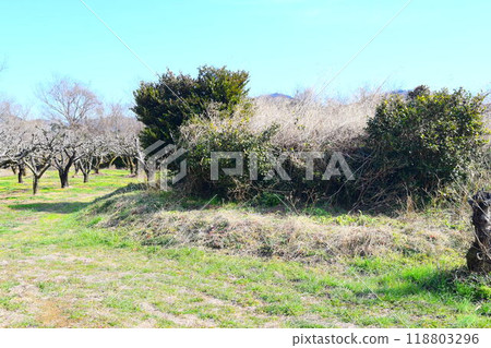 [國家指定史蹟] 大塚南古墳 118803296