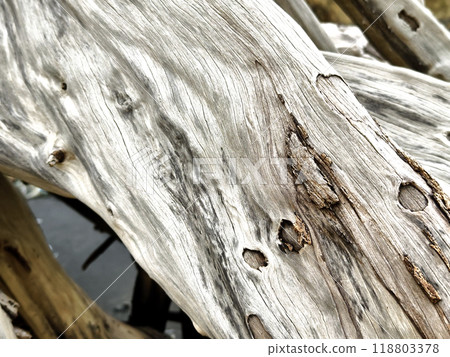 large pile consisting of branches and twigs located on the beach large pile consisting of branches and twigs located on the beach 118803378