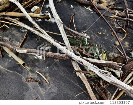 large pile consisting of branches and twigs located on the beach large pile consisting of branches and twigs located on the beach 118803397