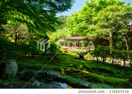 Japanese garden of fresh green Japanese garden of fresh green 118803538