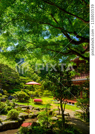 Japanese garden of fresh green 118803539