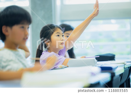Elementary school students taking lessons in a classroom Elementary school students taking lessons in a classroom 118803585