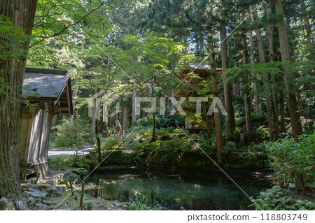 Kozenji Temple [Nationally designated scenic spot] A moat with a three-story pagoda and a statue of Hayataro in the background / Komagane City, Nagano Prefecture 118803749