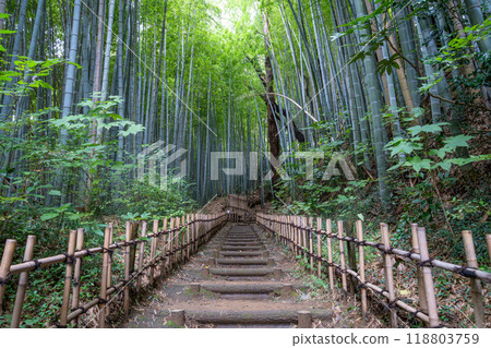 Hiyodorisaka Bamboo Forest Samurai Residence Site 118803759