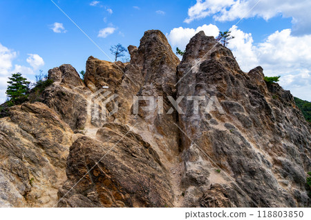 A view from a mountain trail 118803850