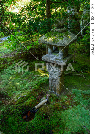 Moss-covered Christian lantern in an alley 118804120