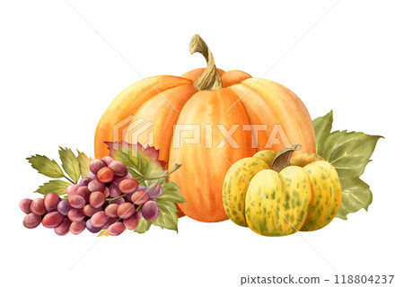 Watercolor pumpkins and grapes with leaves horizontal illustration isolated on white. Ripe fall vegetables and fruits in red, orange and yellow colors for fall harvest designs and Thanksgiving 118804237