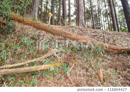 【上接日本名城百選】小宮城 118804427