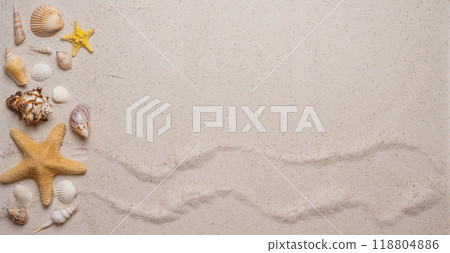 Summer, beach and vacation concept with free text space. Top view. Flat layout with various sea shells and sea stars on the left side on fine sandy background Summer, beach and vacation concept with free text space. Top view. Flat layout with various sea shells and sea stars on the left side on fine sandy background 118804886