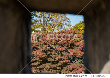Colorful leaves and autumn landscape, seen through the opening of Suwon Hwaseong Fortress Wall, South Korea Colorful leaves and autumn landscape, seen through the opening of Suwon Hwaseong Fortress Wall, South Korea 118805028