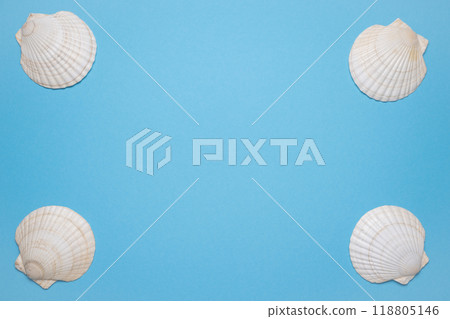 Summer flat lay with seashells on blue background. Vacation, vacation, summer creative concept, copy space, banner Summer flat lay with seashells on blue background. Vacation, vacation, summer creative concept, copy space, banner 118805146