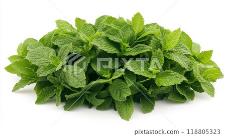 Mint leaves on a white background 118805323