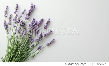 Lavender on a white background 118805324