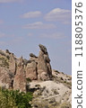 卡帕多奇亞 露頭的岩石 118805376
