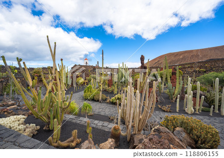 Panoramic picture on a beautiful spring day of cactus garden Jardin de Cactus of Lanzarote 118806155