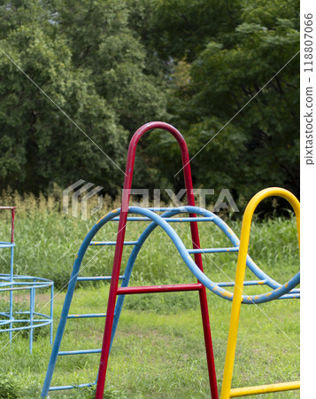 雜草覆蓋的公園裡的舊雲梯 118807066