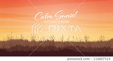 Meadow silhouettes with grass. Countryside, panoramic summer lawn rural landscape with herbs, weeds. Agriculture and farming. Summer sunset in nature, wildlife. Vector illustration Meadow silhouettes with grass. Countryside, panoramic summer lawn rural landscape with herbs, weeds. Agriculture and farming. Summer sunset in nature, wildlife. Vector illustration 118807314