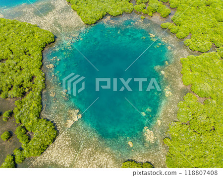 Beautiful mangroves and lagoons. Transparent turquoise water atoll. Mindanao, Philippines. Seascape. Beautiful mangroves and lagoons. Transparent turquoise water atoll. Mindanao, Philippines. Seascape. 118807408