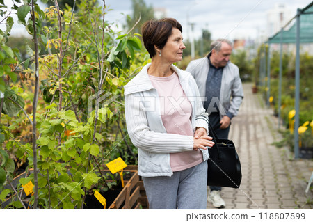 Concentrated busy old woman in casual clothes choosing fruit trees in pots while shopping in garden center Concentrated busy old woman in casual clothes choosing fruit trees in pots while shopping in garden center 118807899