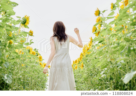 Portrait of a woman in a sunflower field 118808024