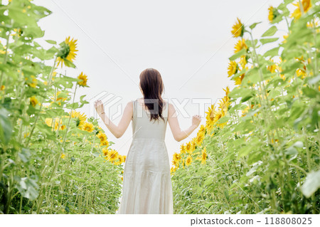 Portrait of a woman in a sunflower field Portrait of a woman in a sunflower field 118808025