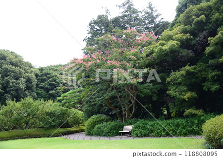 Lush green garden ☆mar_lapin Lush green garden ☆mar_lapin 118808095