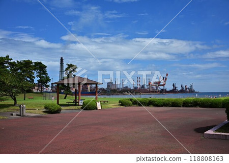享有海港景色的山地公園 享有海港景色的山地公園 118808163