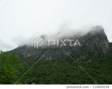 Cloud and fog cover limestone mountain in the rainy season, Green forest and rock at Khao Sam Roi Yot National Park, Thailand 118808299