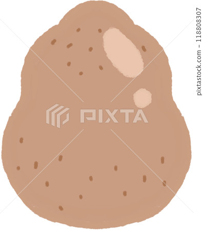 potato potato 118808307