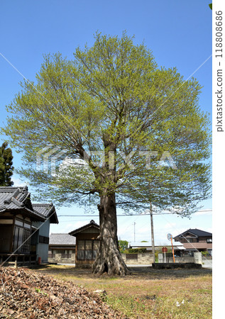 Goryo Inari Shrine in Hokino, Kodama-cho, Honjo City, Saitama Prefecture 118808686