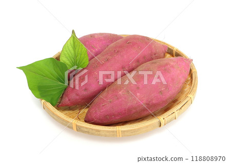 Sweet potato (Haruka Beni) 118808970