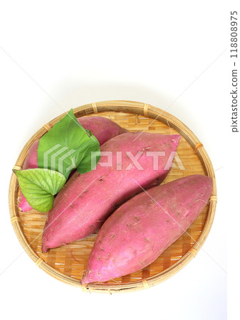 紅薯(紅遙,垂直構圖) 紅薯(紅遙,垂直構圖) 118808975