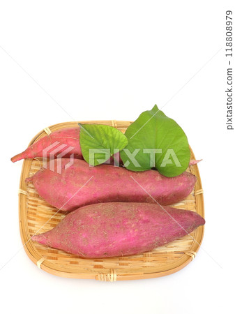 紅薯（紅遙，垂直構圖） 118808979