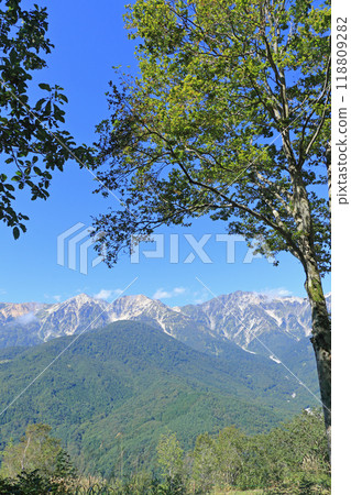 The Northern Alps as seen from Hakuba Iwatake Mountain Resort The Northern Alps as seen from Hakuba Iwatake Mountain Resort 118809282