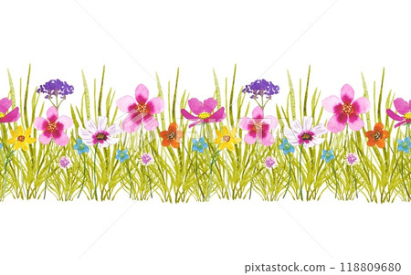 Border with meadow summer flowers, watercolor illustration 118809680