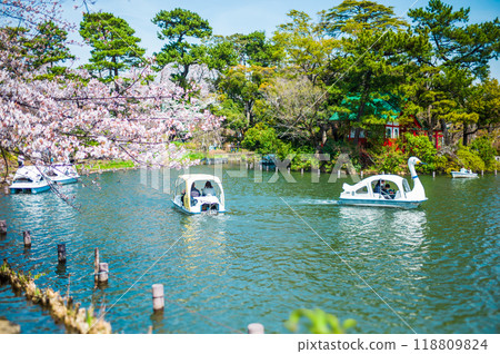 Dreamy cherry blossom scenery at Senzokuike Pond in Tokyo Dreamy cherry blossom scenery at Senzokuike Pond in Tokyo 118809824